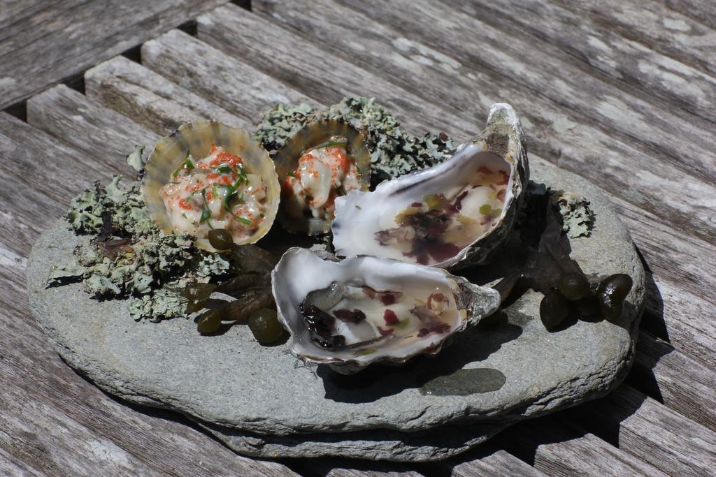 Ty Mad Hotel Douarnenez Eksteriør billede